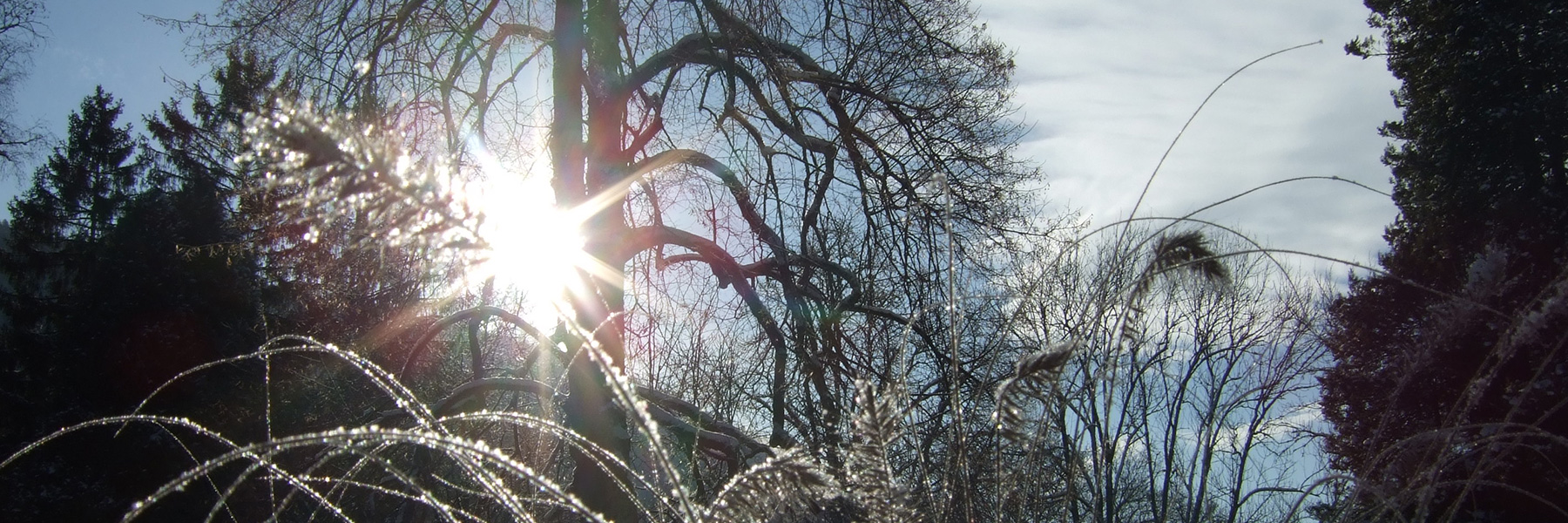 Idyllische Schneewanderungen