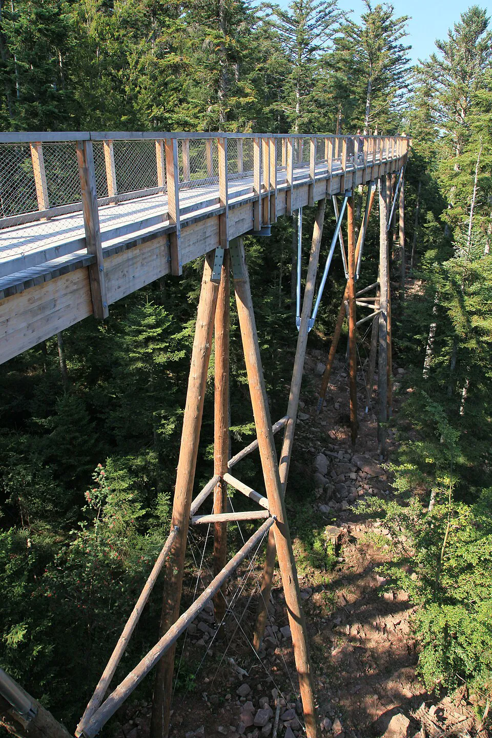 Baumwipfelpfad Bad Wildbad