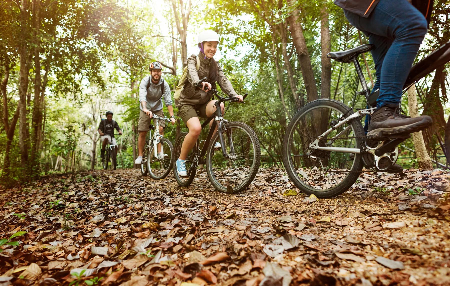 Eine Gruppe von Fahrradfahrern im Wald