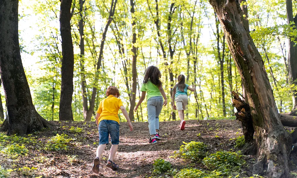 Kinder rennen durch den Wald